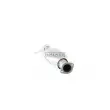 Catalyseur WALKER 20741 - Visuel 1