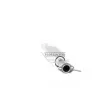 Catalyseur WALKER 20741 - Visuel 3