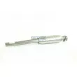 Catalyseur WALKER 20747 - Visuel 2