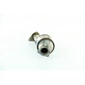 Catalyseur WALKER 20756