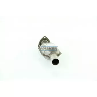 Catalyseur WALKER 20759