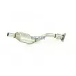 Catalyseur WALKER 20782 - Visuel 2