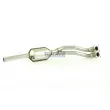 Catalyseur WALKER 20793 - Visuel 2
