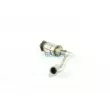 Catalyseur WALKER 20794 - Visuel 1