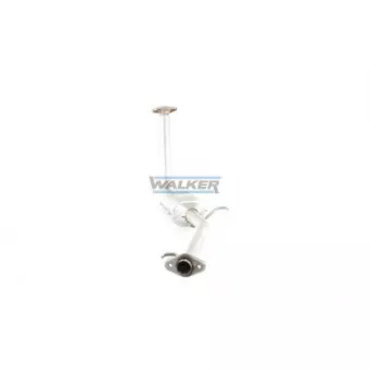 Catalyseur WALKER 20811
