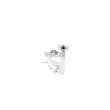 Catalyseur WALKER 20811 - Visuel 3