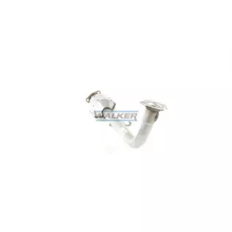 Catalyseur WALKER 20815