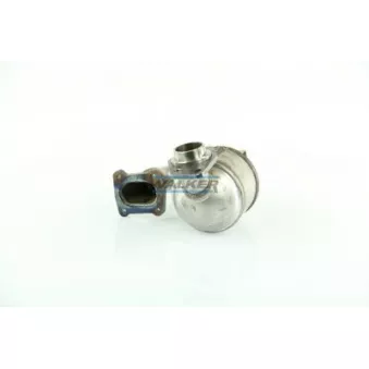 Catalyseur WALKER 20839