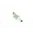 Catalyseur WALKER 20849 - Visuel 1
