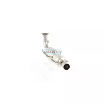 Catalyseur WALKER 20869