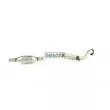 Catalyseur WALKER 20871 - Visuel 2
