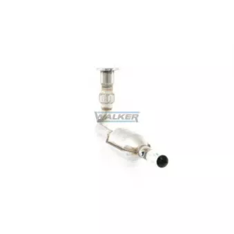 Catalyseur WALKER 20873