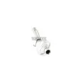 Catalyseur WALKER 20881 - Visuel 1