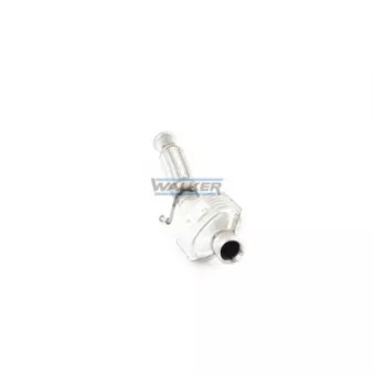 Catalyseur WALKER 20881