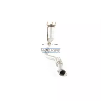 Catalyseur WALKER 20888