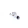 Catalyseur WALKER 20894 - Visuel 3