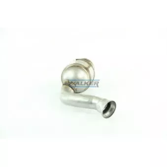 Catalyseur WALKER 20896