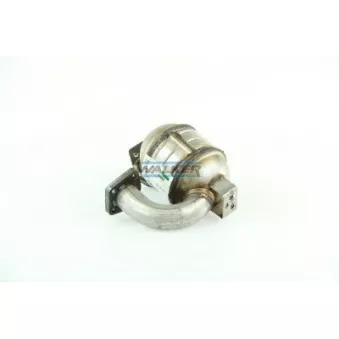 Catalyseur WALKER 20897
