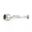 Catalyseur WALKER 20921 - Visuel 2