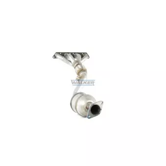 Catalyseur WALKER 20929