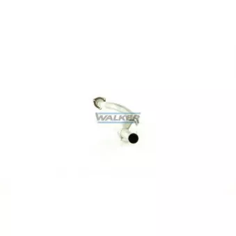 Catalyseur WALKER 20943