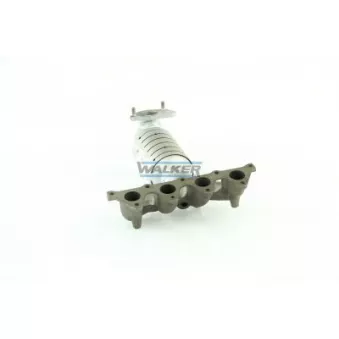 Catalyseur WALKER 20962