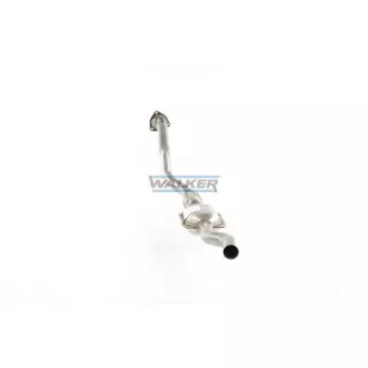 Catalyseur WALKER 20966