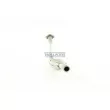 Catalyseur WALKER 21586 - Visuel 1