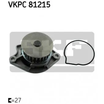 Pompe à eau SKF