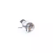Catalyseur WALKER 23077 - Visuel 3