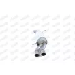 Silencieux arrière WALKER 24259 - Visuel 2