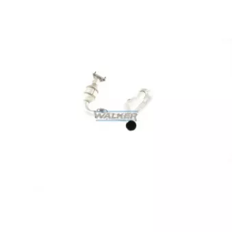 Catalyseur WALKER 28005