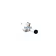 Catalyseur WALKER 28017 - Visuel 1