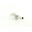 Catalyseur WALKER 28020 - Visuel 1