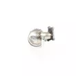 Catalyseur WALKER 28036 - Visuel 3