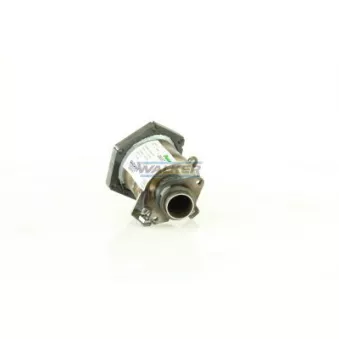 Catalyseur WALKER 28037