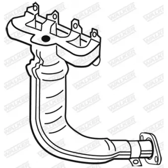 Catalyseur WALKER 28040
