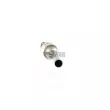 Catalyseur WALKER 28062 - Visuel 1
