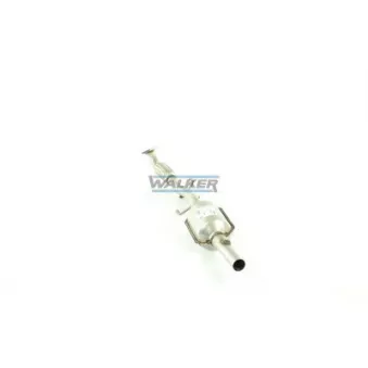 Catalyseur WALKER
