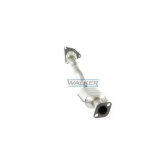 Catalyseur WALKER 28068
