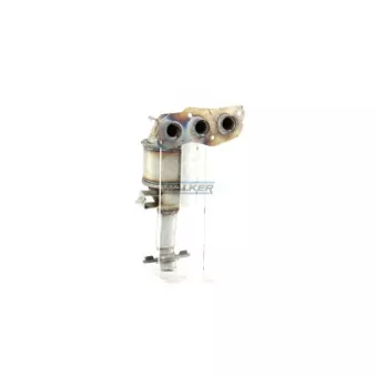 Catalyseur WALKER 28082