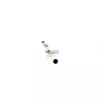Catalyseur WALKER 28095
