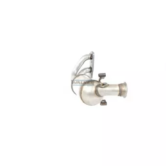 Catalyseur WALKER 28100