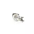 Catalyseur WALKER 28129 - Visuel 1