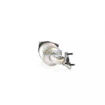 Catalyseur WALKER 28129