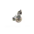 Catalyseur WALKER 28154 - Visuel 3