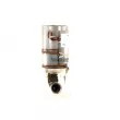 Catalyseur WALKER 28168 - Visuel 1