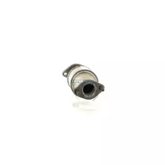 Catalyseur WALKER 28205