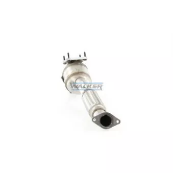 Catalyseur WALKER 28207