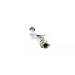 Catalyseur WALKER 28210 - Visuel 3